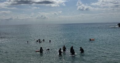 Sortida de Biologia a l’Ametlla de Mar: snorkel i biodiversitat marina